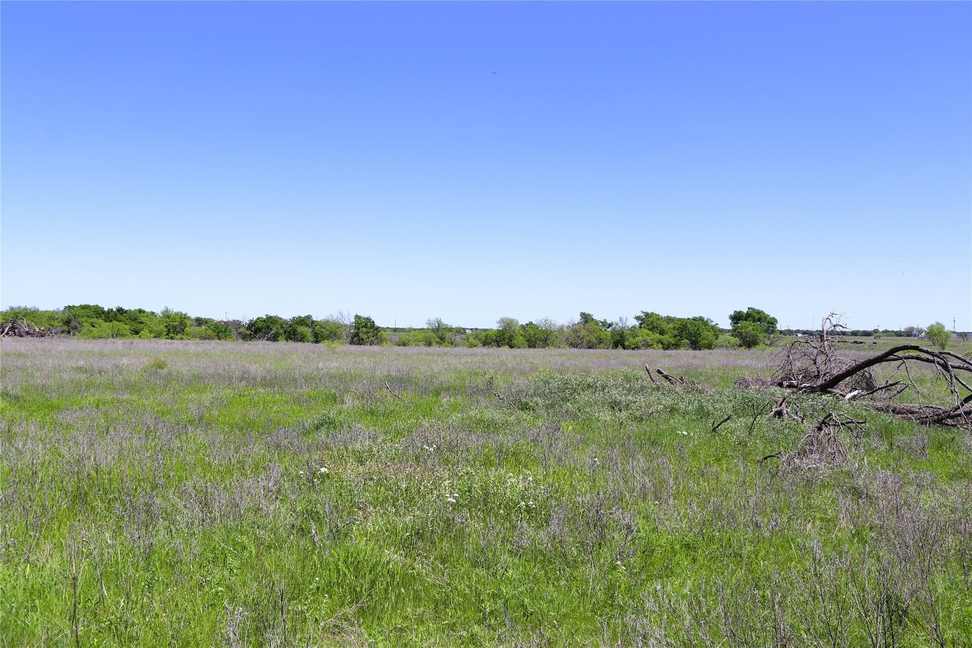 40 acres in Clay County - photo 15