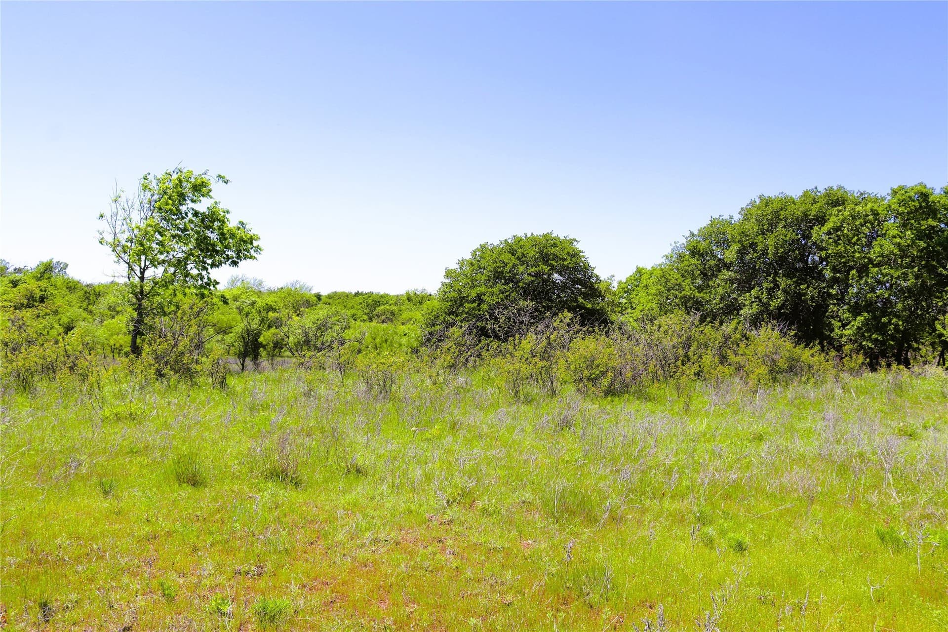 40 acres in Clay County - photo 11