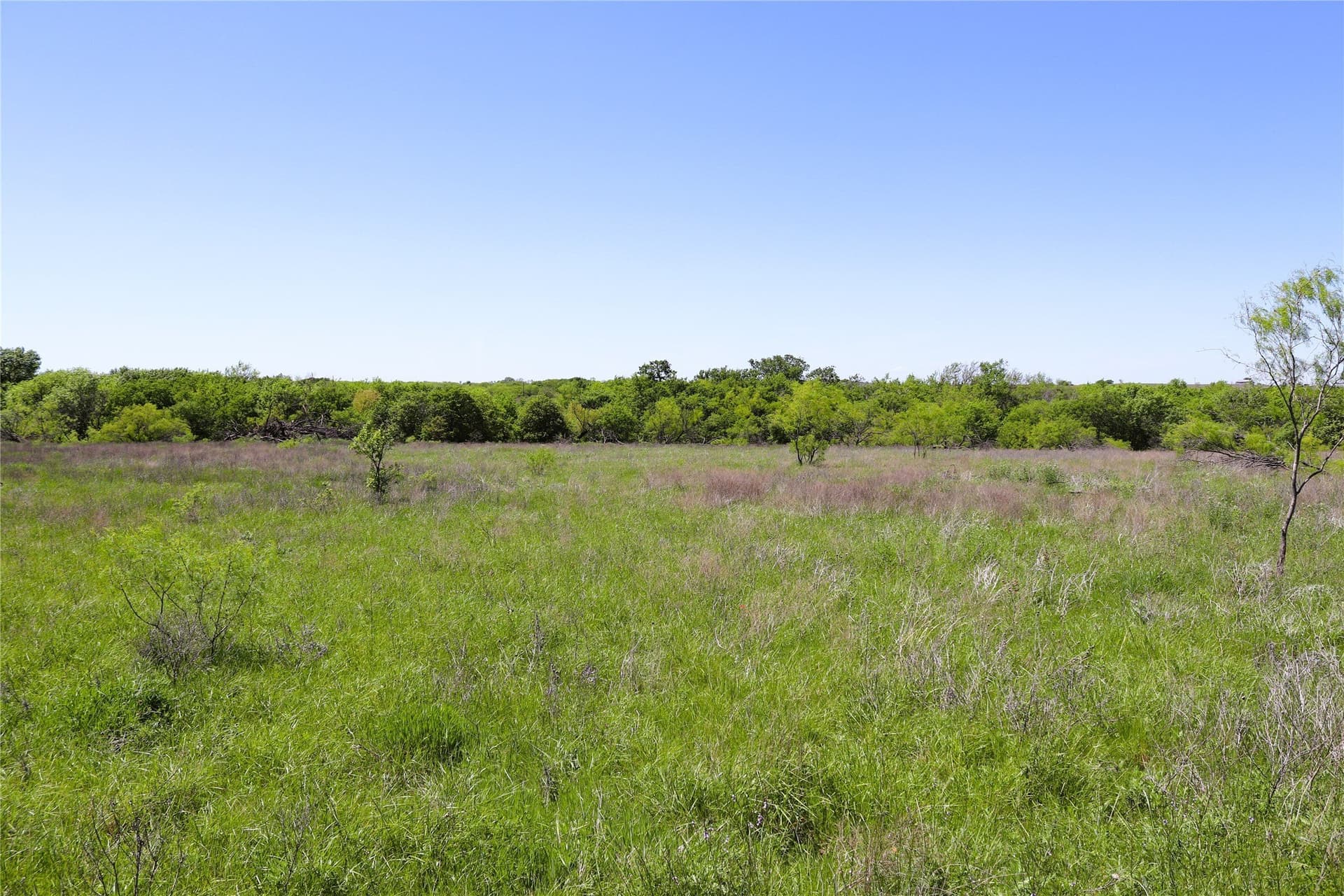 40 acres in Clay County - photo 13
