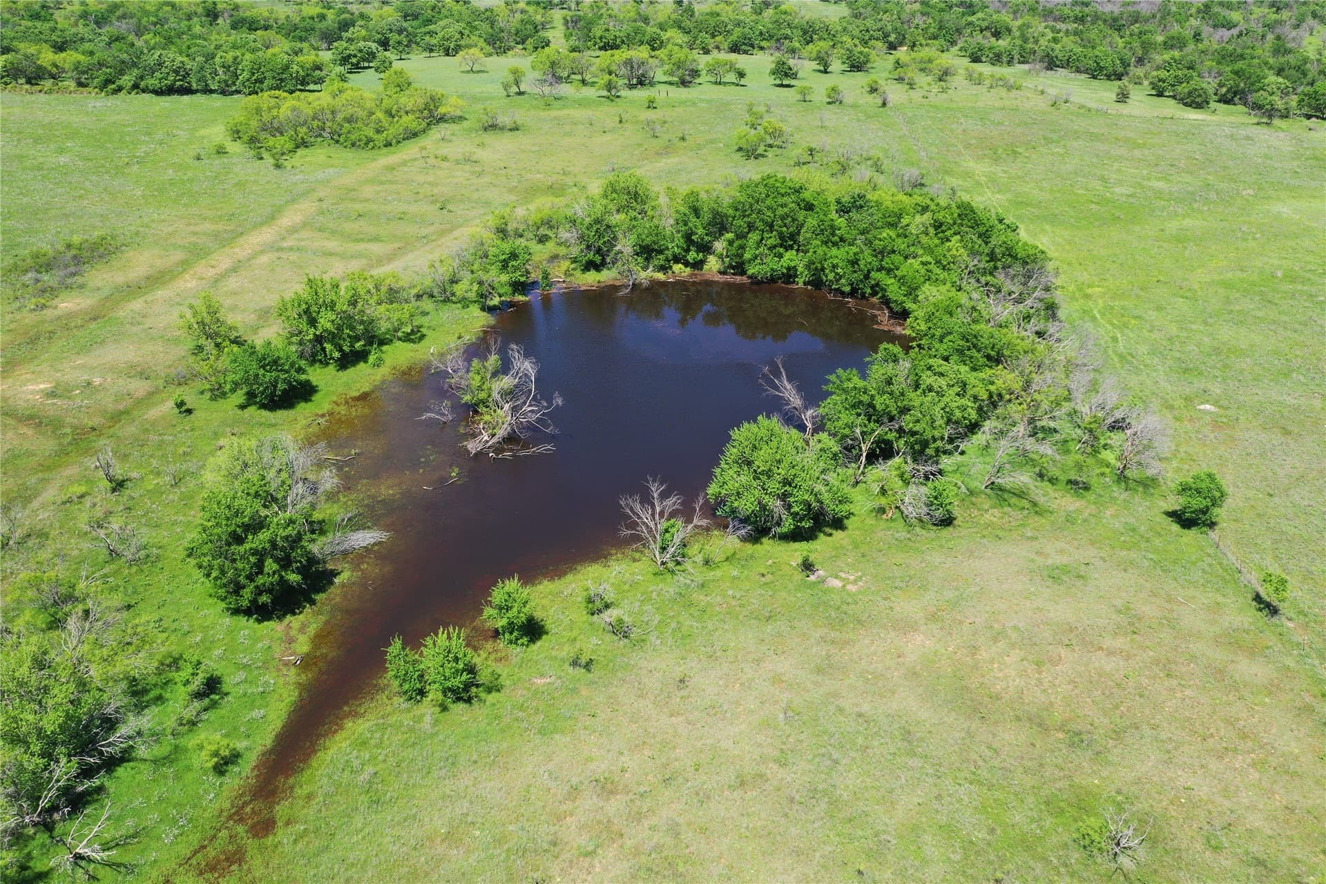 40 acres in Clay County - photo 5
