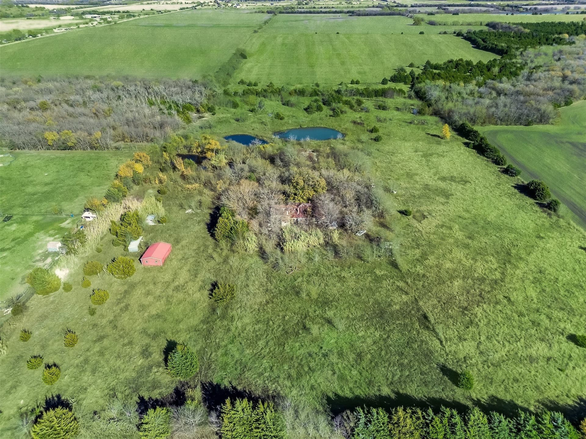 21.86 acres in Ellis County gallery image 3
