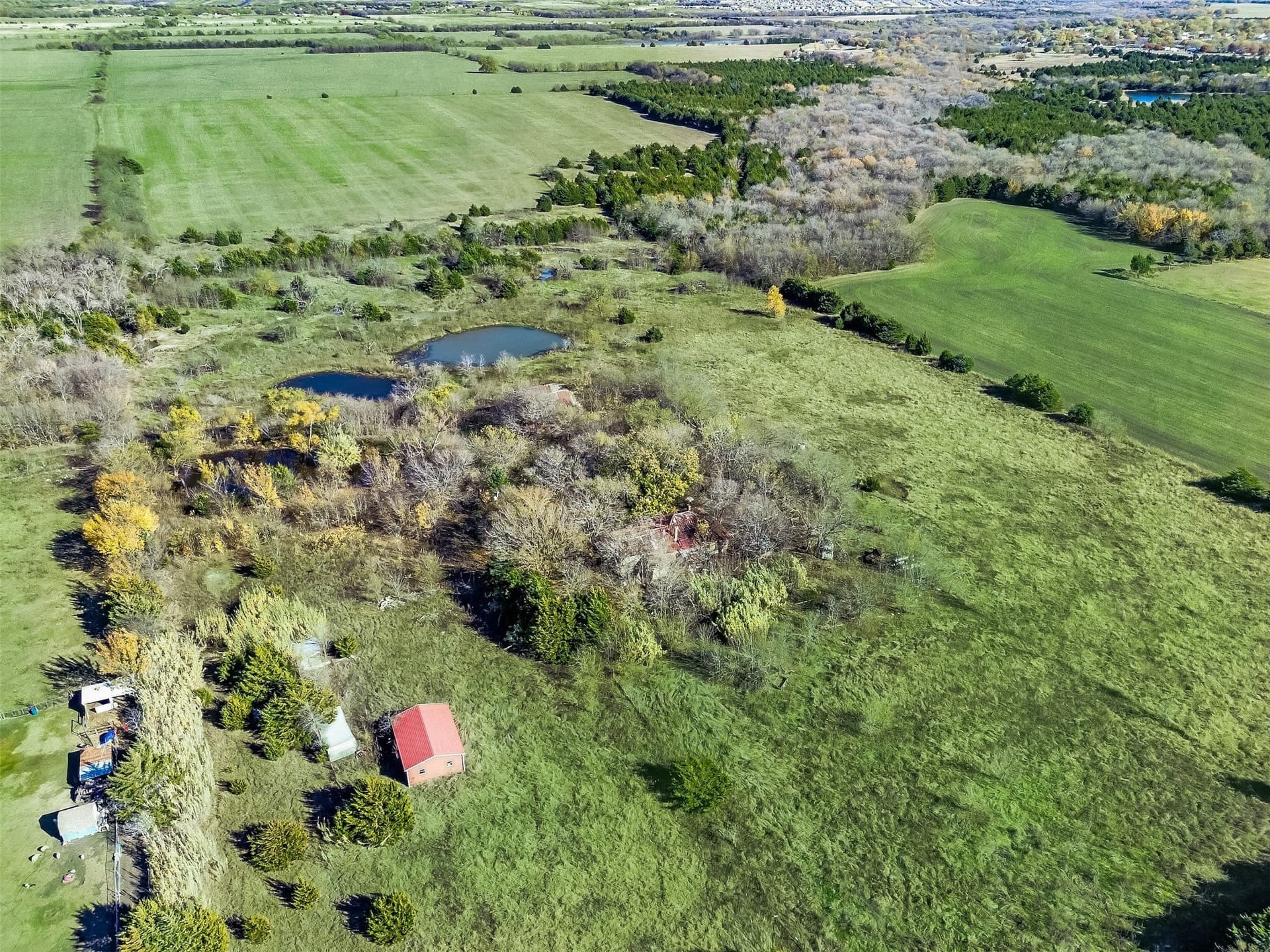 21.86 acres in Ellis County gallery image 2
