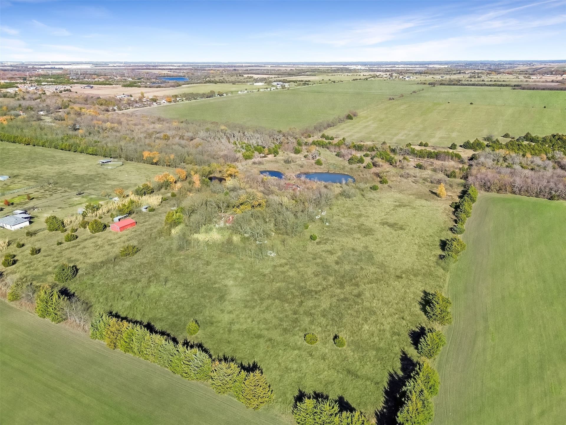 21.86 acres in Ellis County gallery image 4