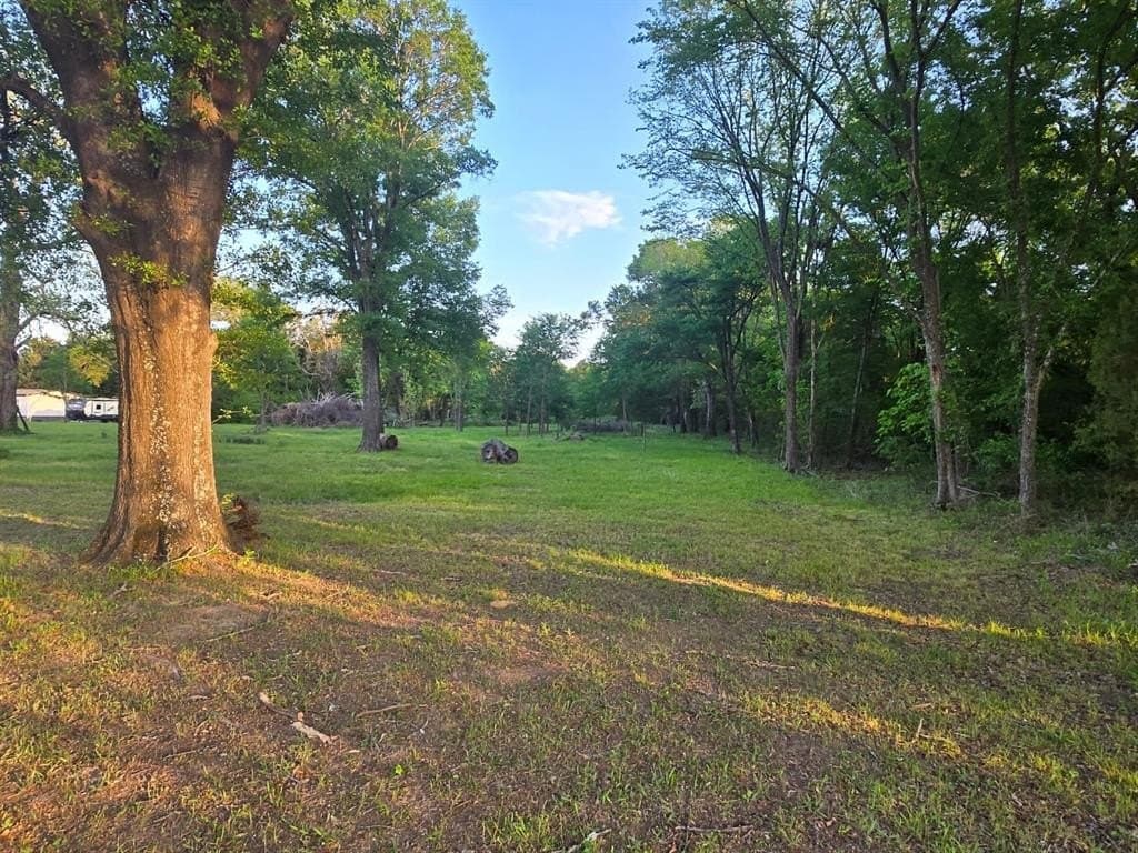 3.1 acres in Henderson County gallery image 4