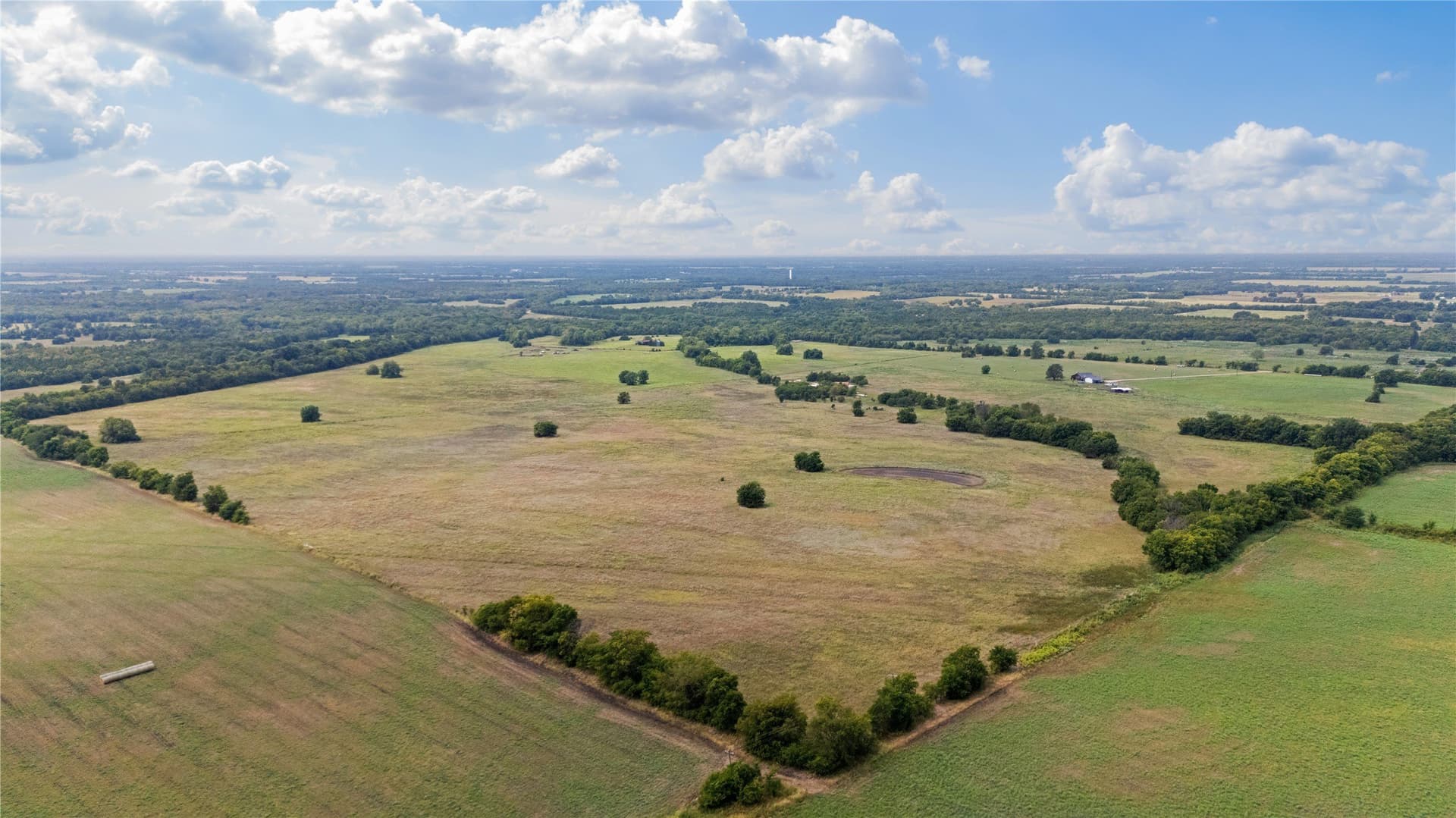 100 acres in Lamar County gallery image 4