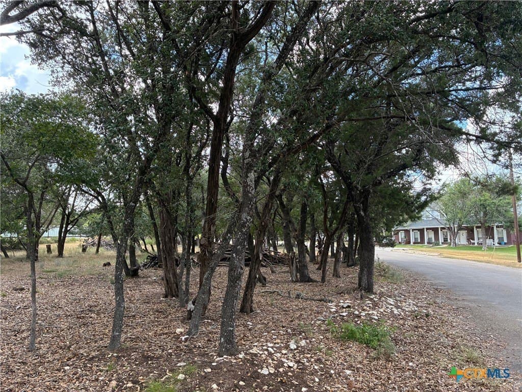 0.19 acres in Bell County - photo 7
