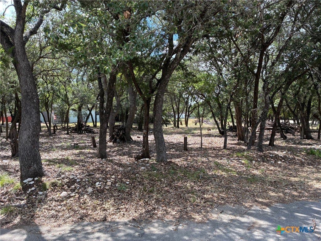 0.19 acres in Bell County gallery image 4