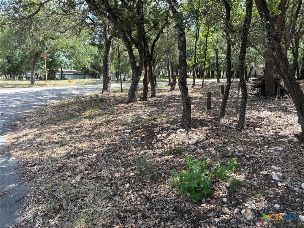 0.19 acres in Bell County - photo 6