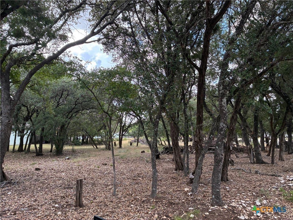 0.19 acres in Bell County - photo 8
