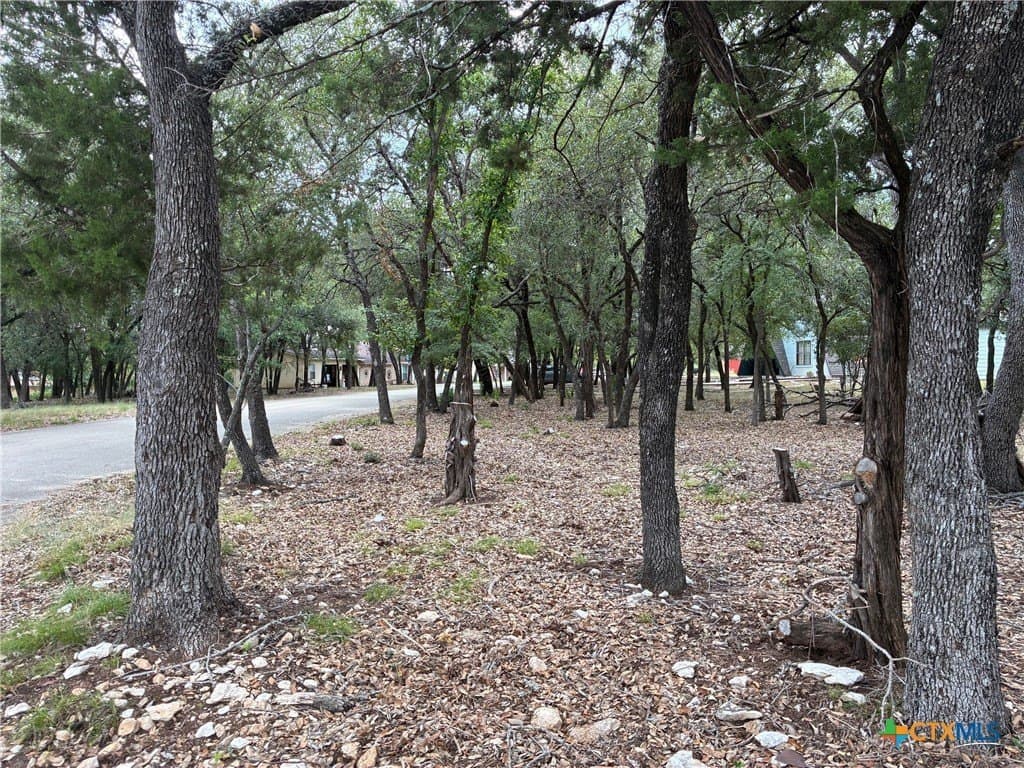 0.19 acres in Bell County gallery image 2