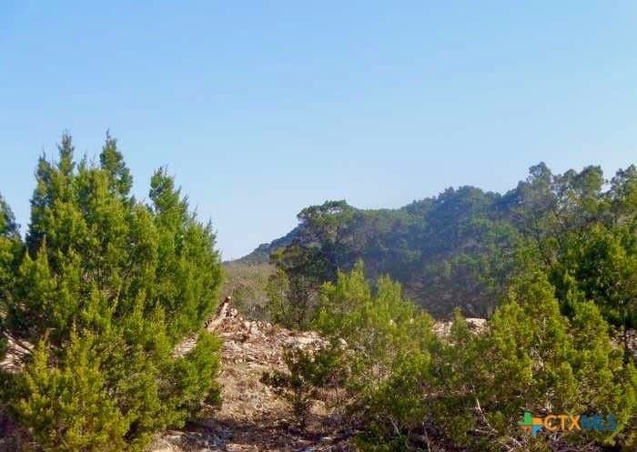 0.85 acres in Comal County - photo 6