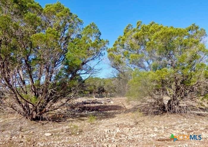 0.85 acres in Comal County - photo 8