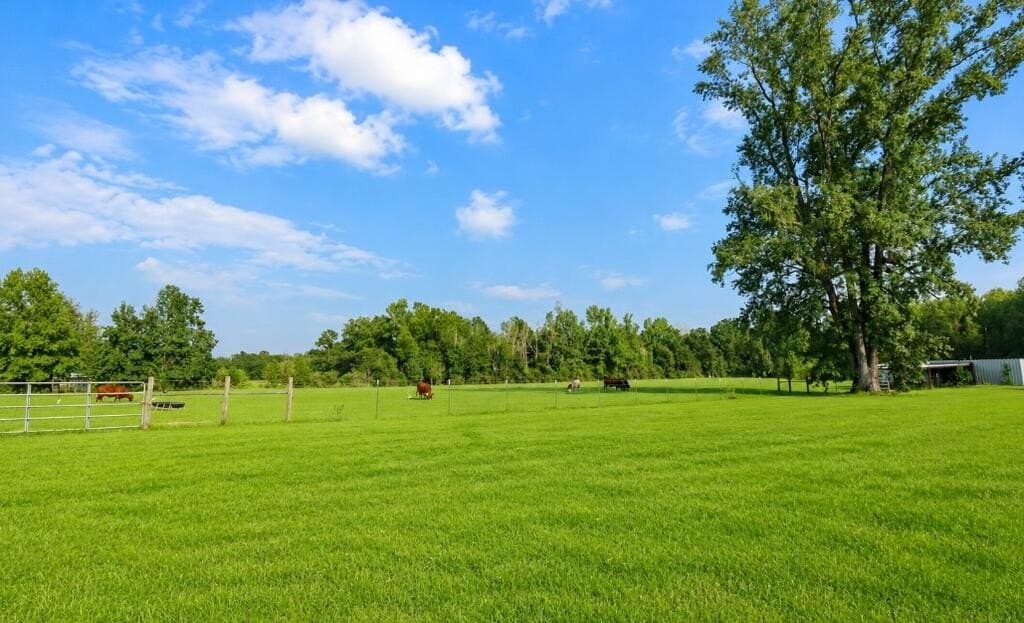 10 acres in Texas County - photo 23