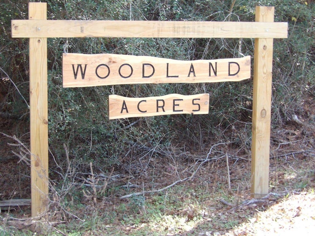 0.63 acres in Texas County - photo 7
