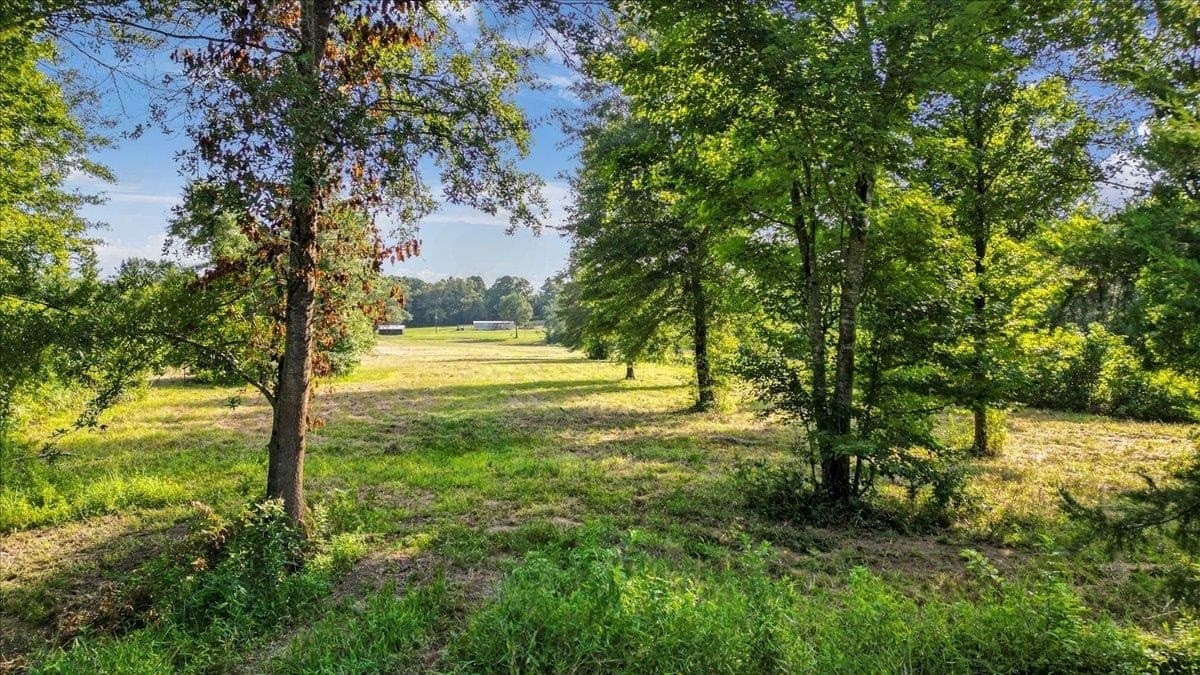 32 acres in Upshur County - photo 9