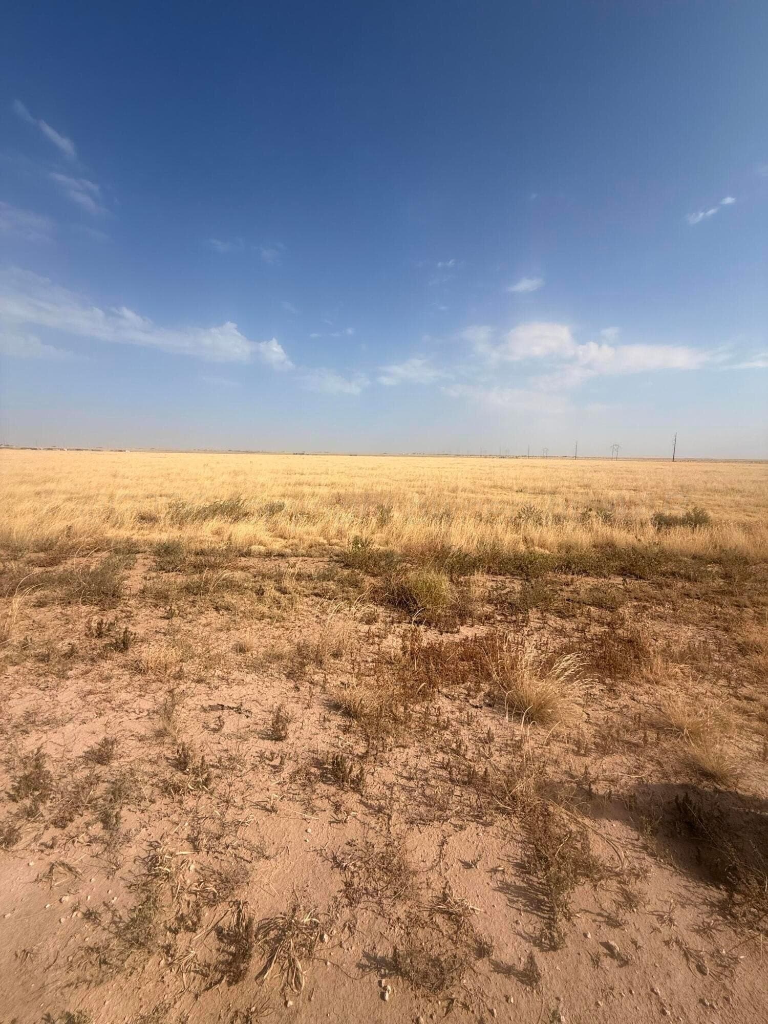 10.23 acres in Randall County - photo 7