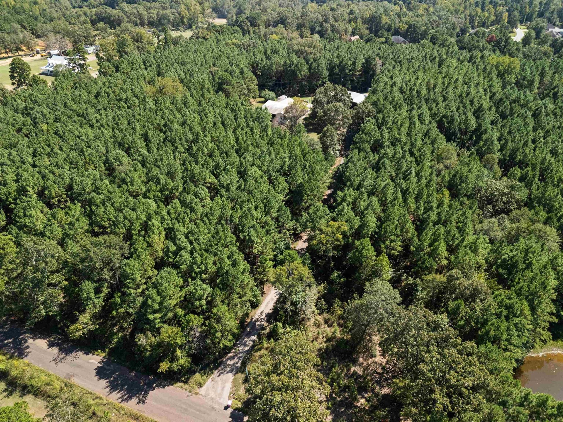 16 acres in Upshur County - photo 40