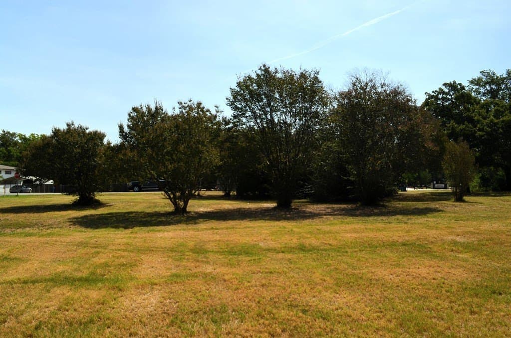 2 acres in Henderson County - photo 6