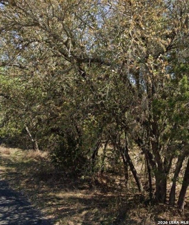 0.9 acres in Comal County - photo 5