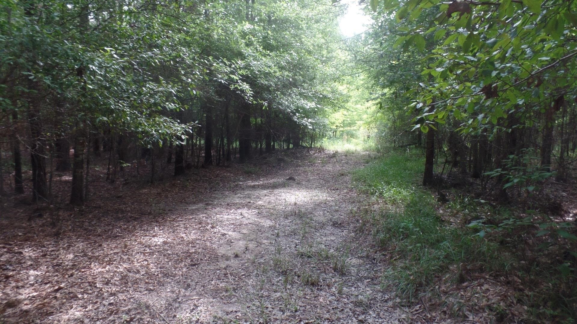 38.65 acres in Texas County gallery image 3