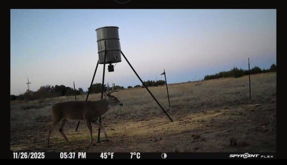 19.18 acres in Eastland County - photo 3