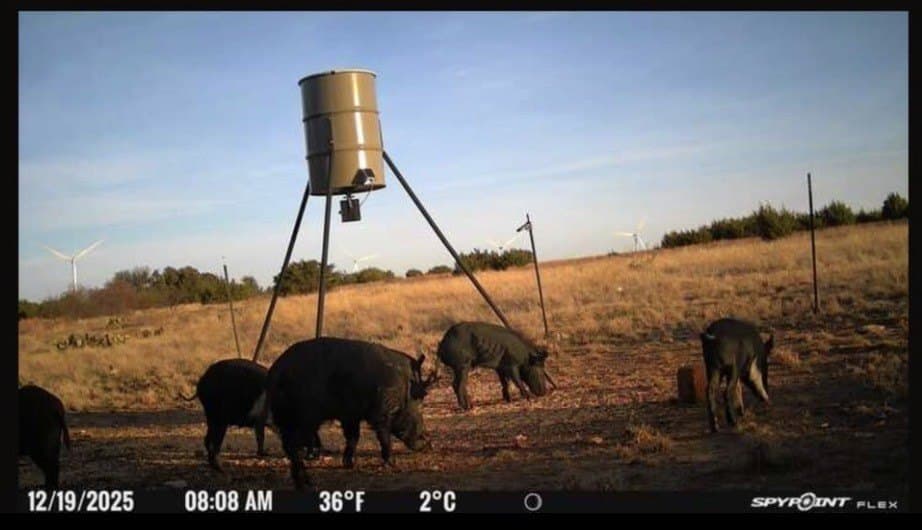 19.18 acres in Eastland County - photo 4