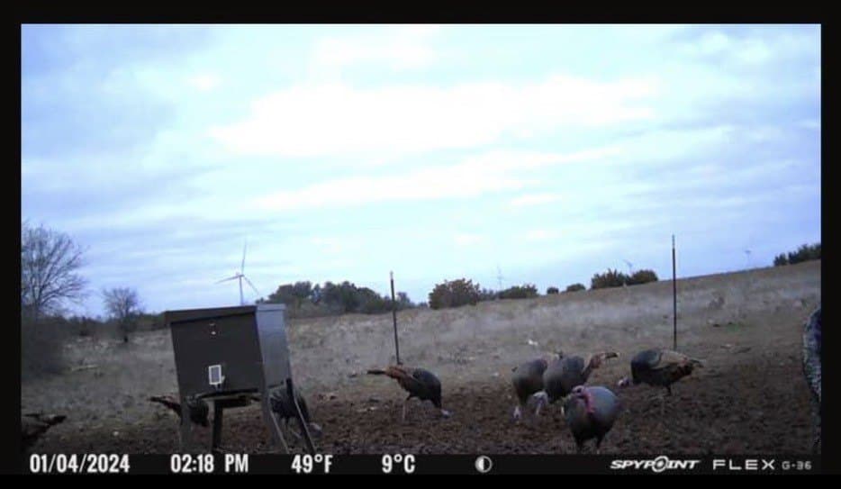 19.18 acres in Eastland County - photo 5