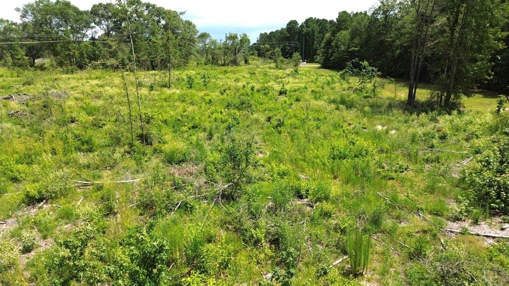 80.08 acres in Texas County - photo 32
