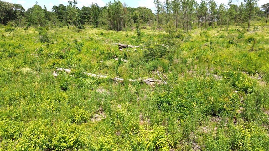 80.08 acres in Texas County - photo 30