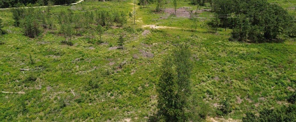 80.08 acres in Texas County - photo 7