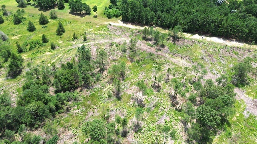80.08 acres in Texas County - photo 14