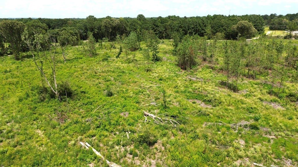 80.08 acres in Texas County - photo 22