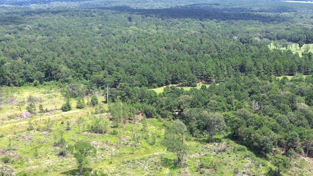 80.08 acres in Texas County - photo 19