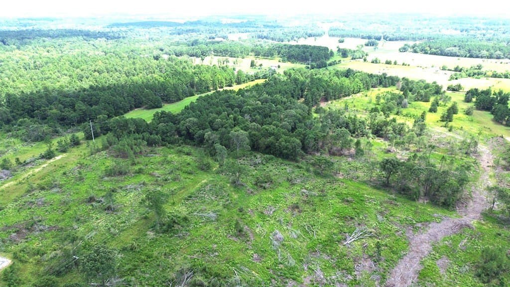 80.08 acres in Texas County - photo 9