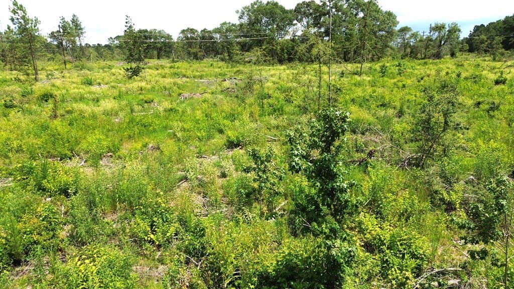 80.08 acres in Texas County - photo 31