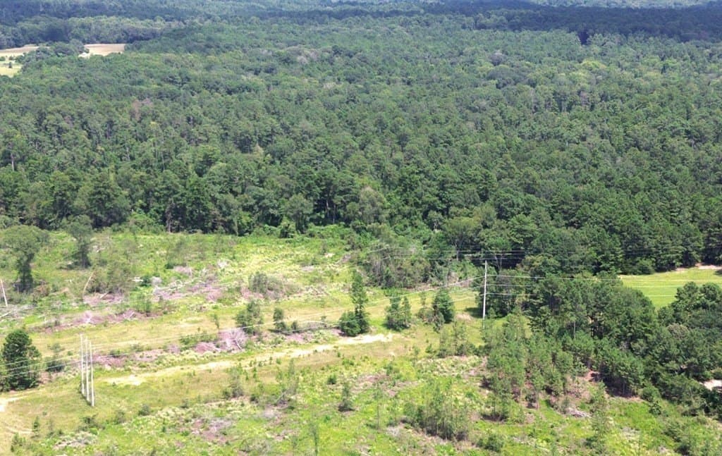 80.08 acres in Texas County - photo 20