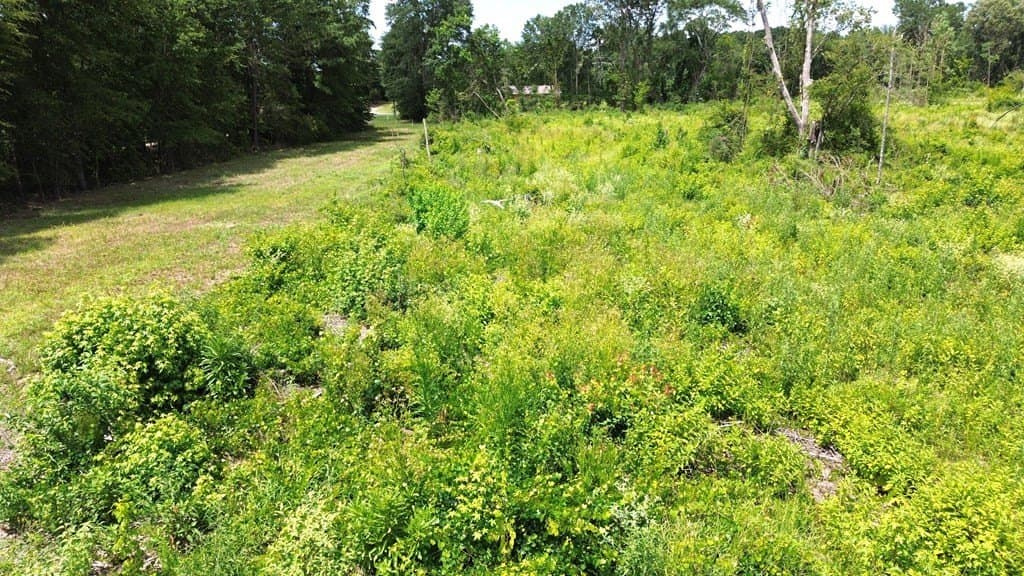 80.08 acres in Texas County - photo 29
