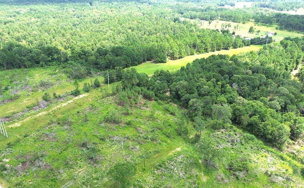 80.08 acres in Texas County - photo 10