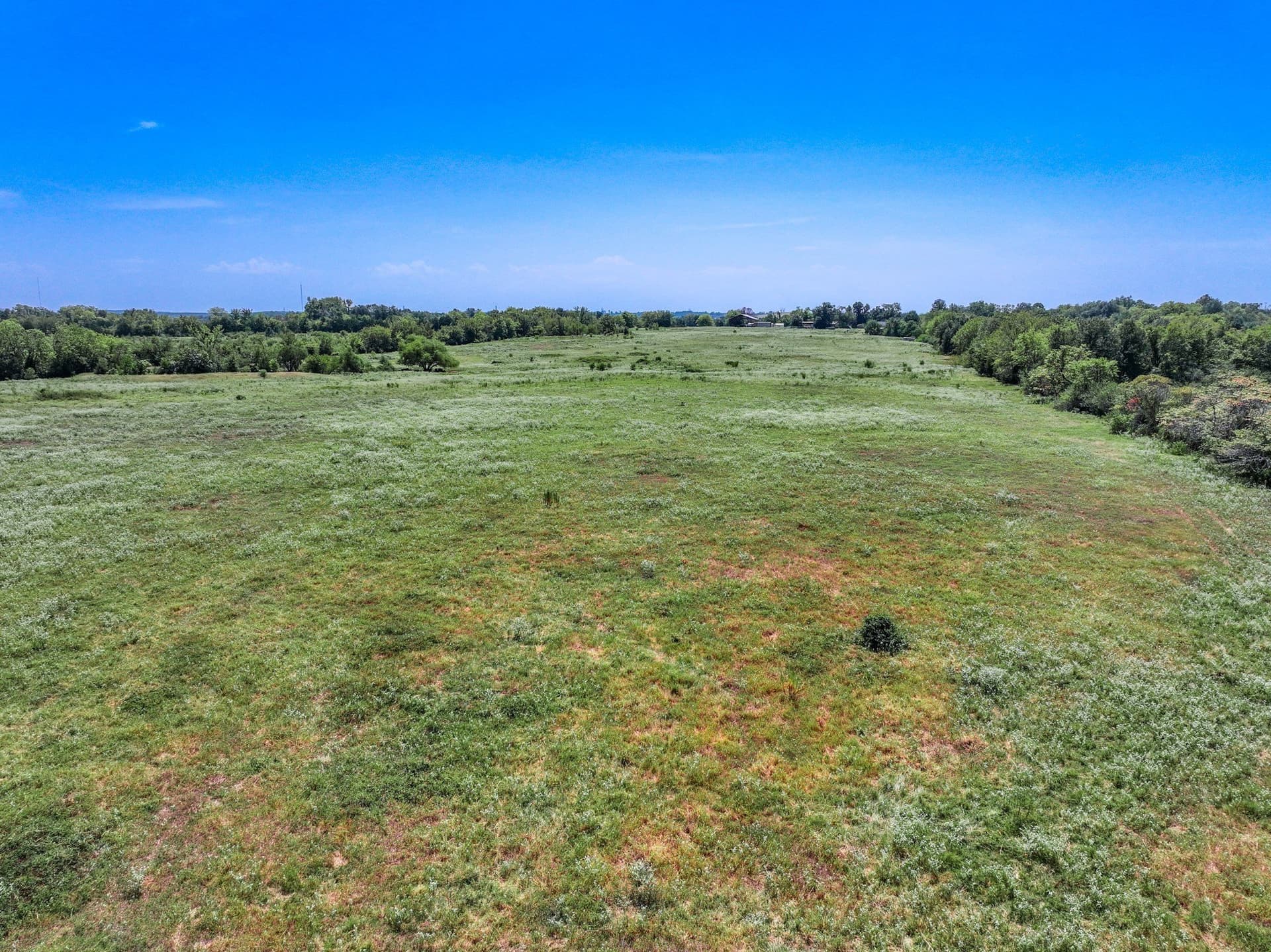 53 acres in Hopkins County - photo 19