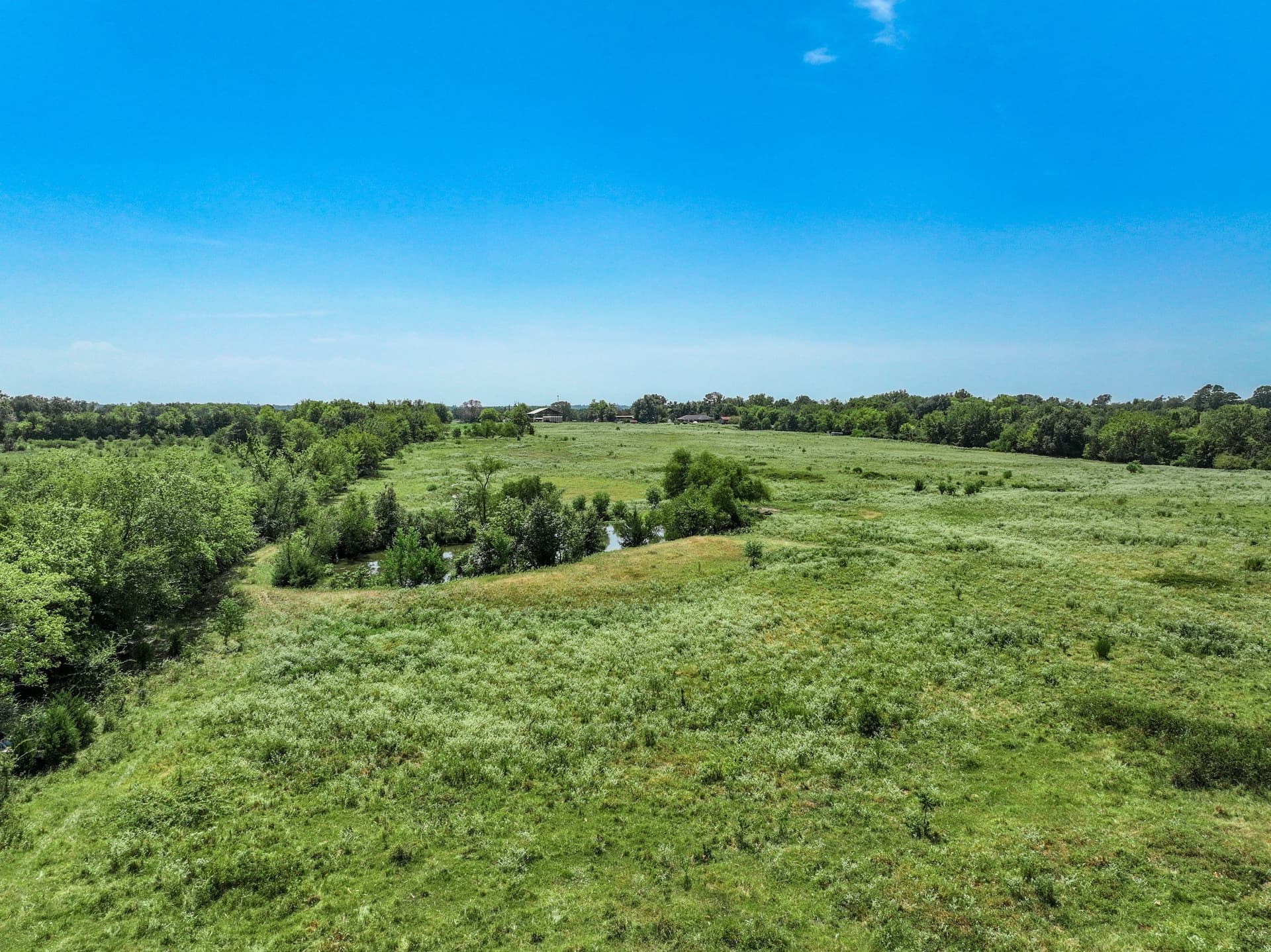 53 acres in Hopkins County - photo 17