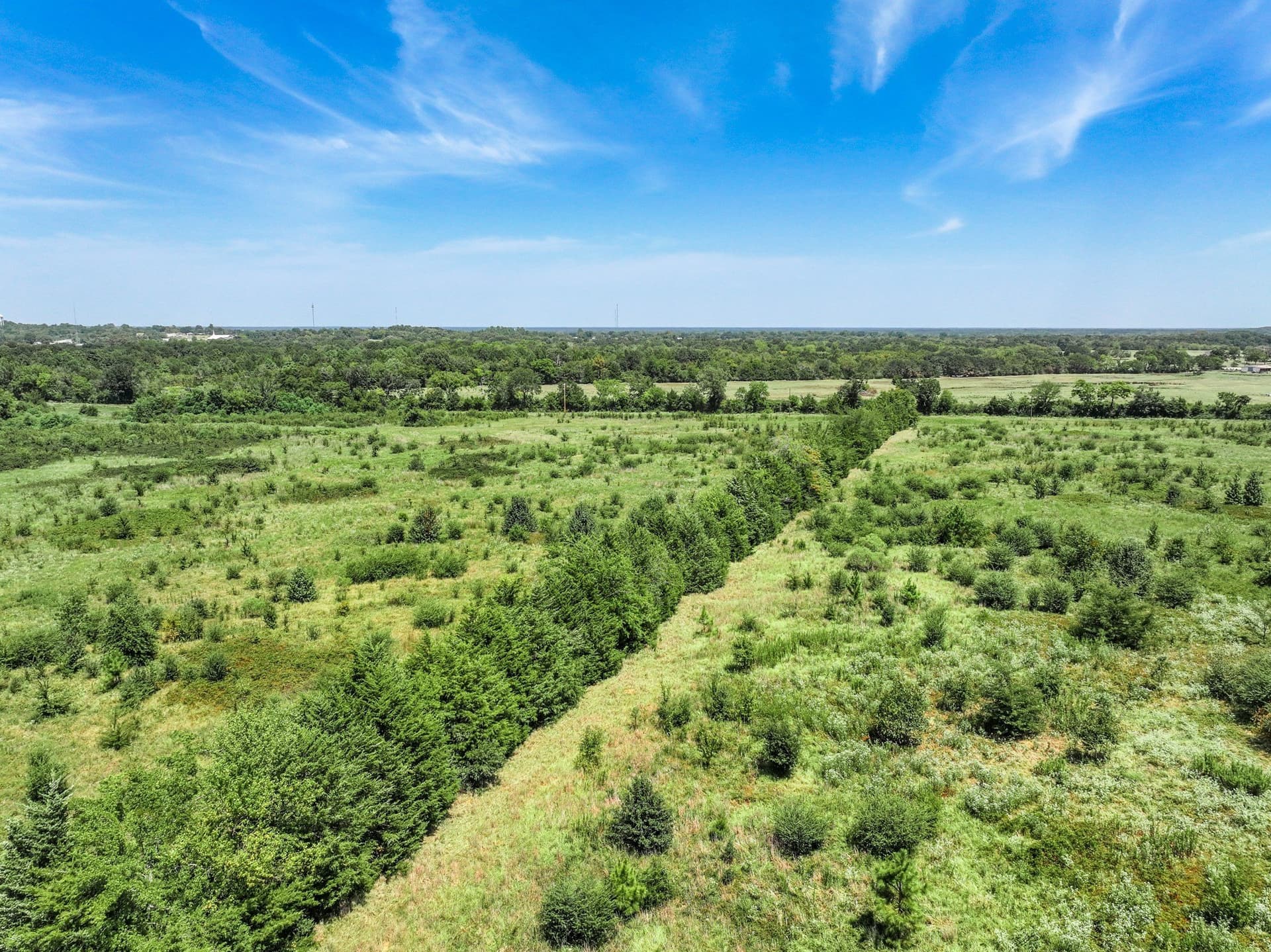 53 acres in Hopkins County - photo 12