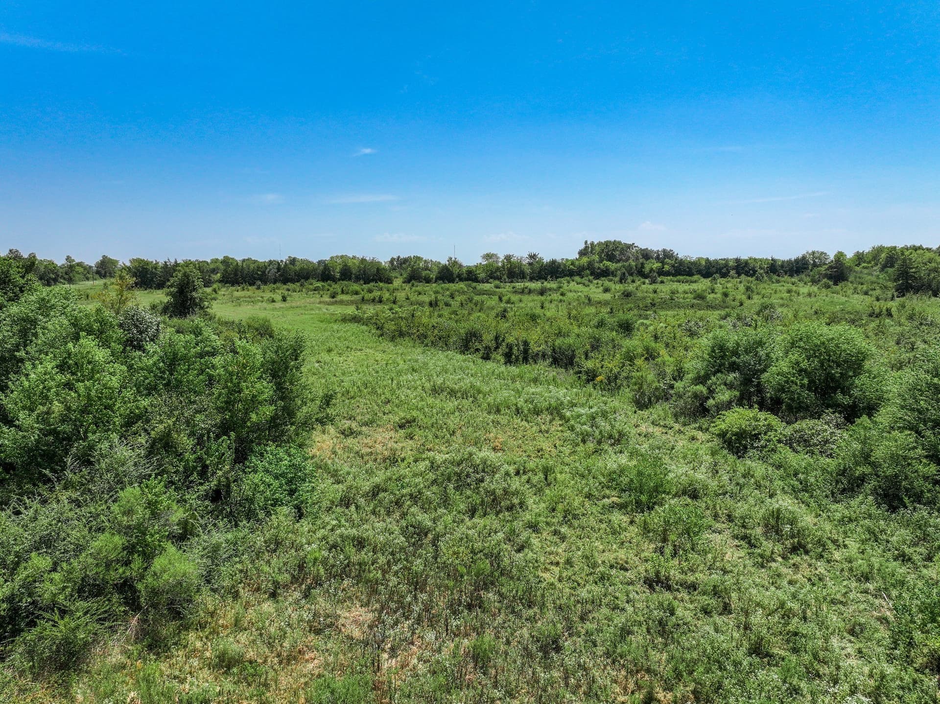 53 acres in Hopkins County - photo 14