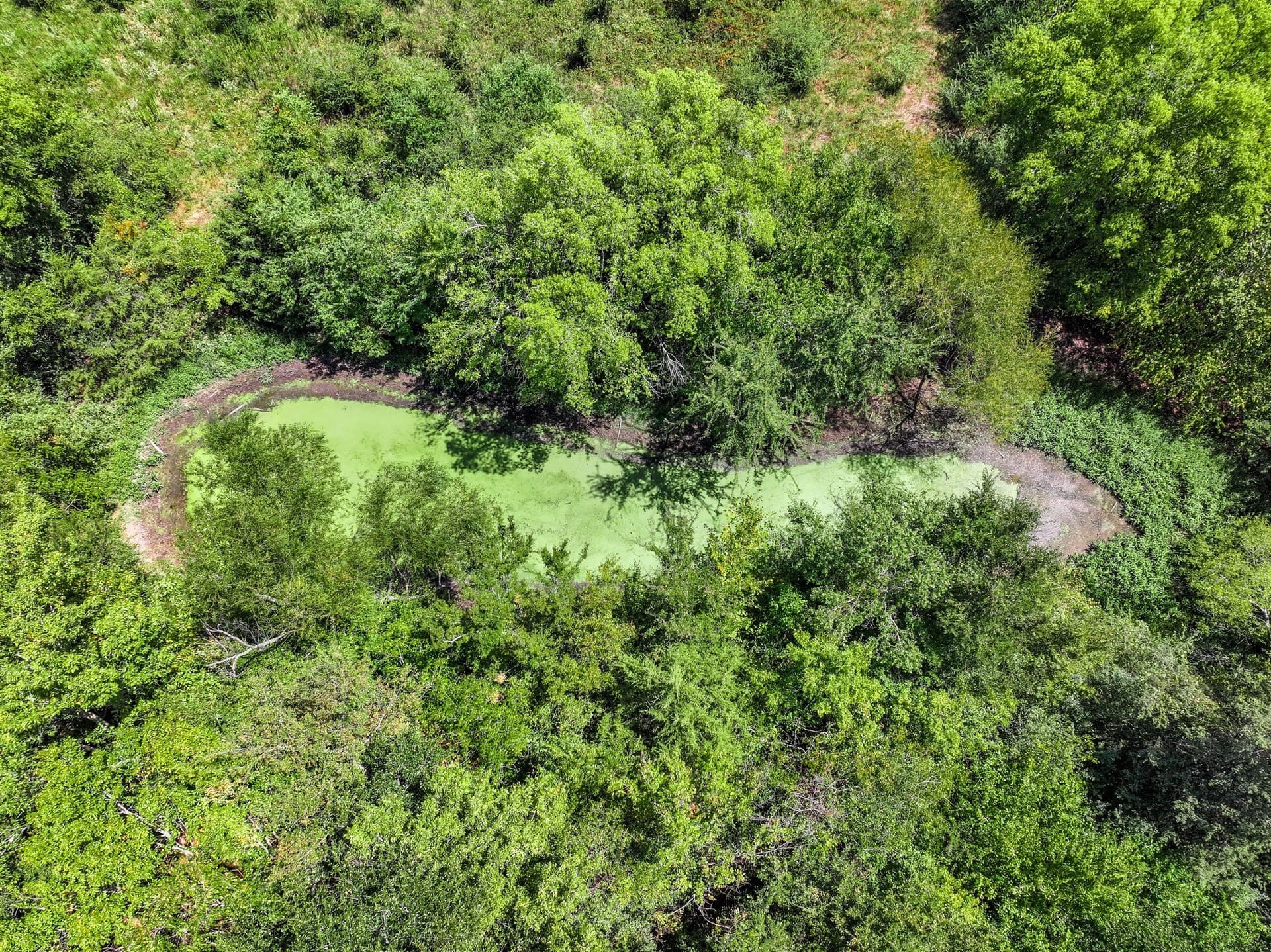 53 acres in Hopkins County - photo 21