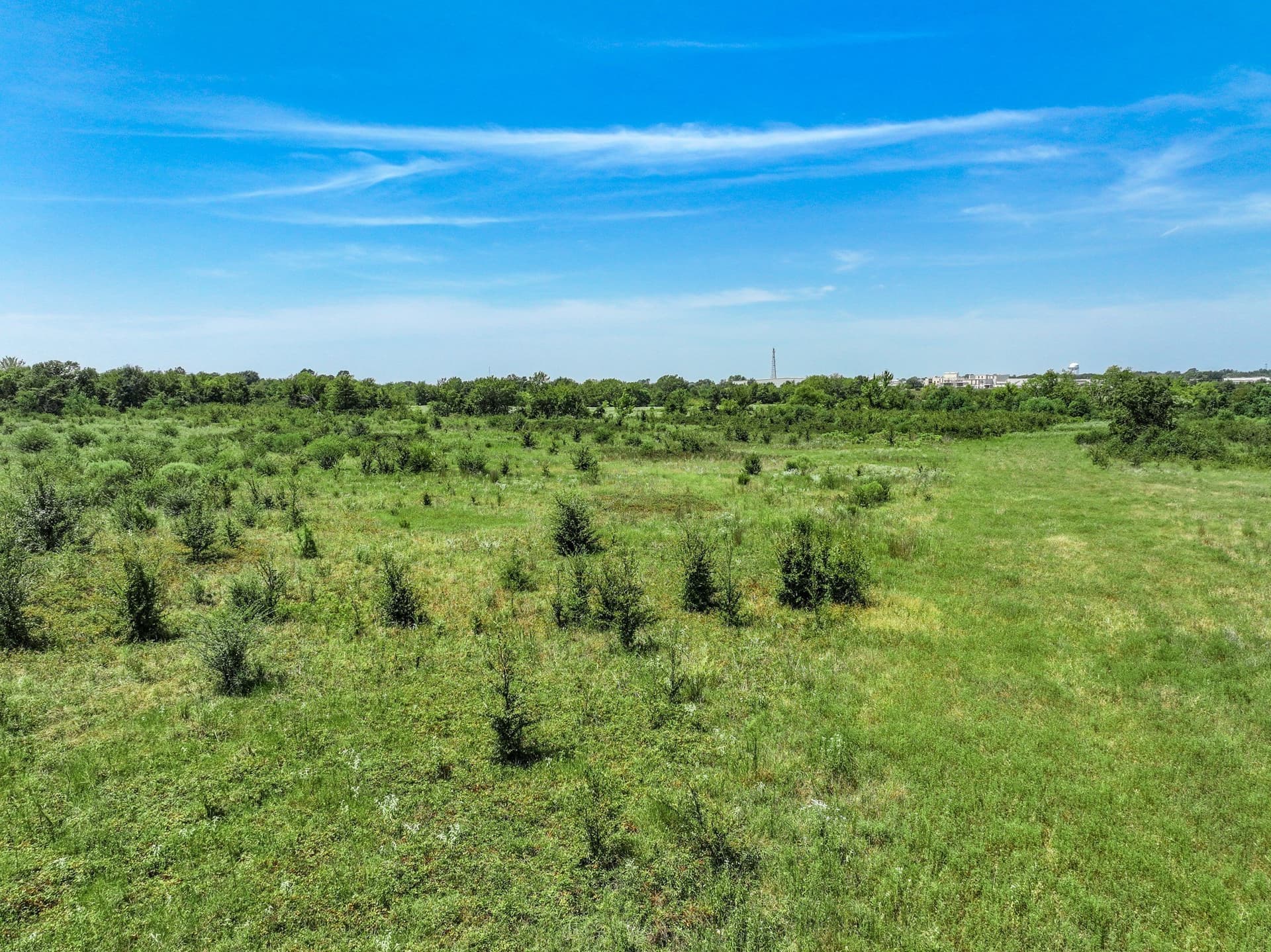 53 acres in Hopkins County - photo 13