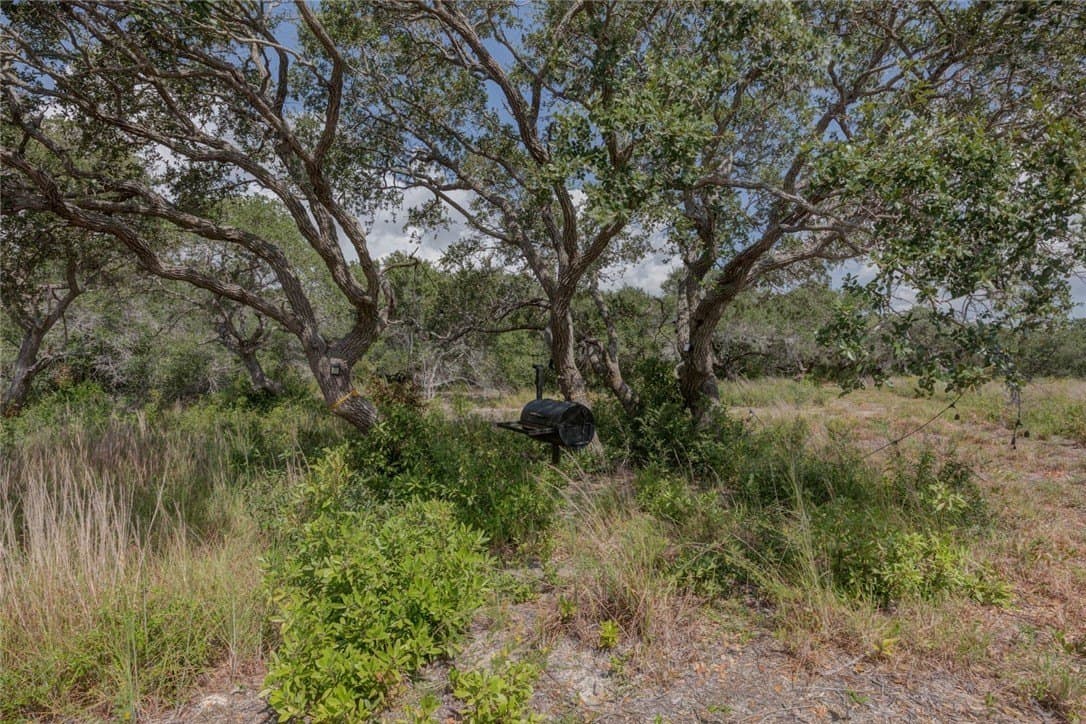 2.5 acres in San Patricio County - photo 6