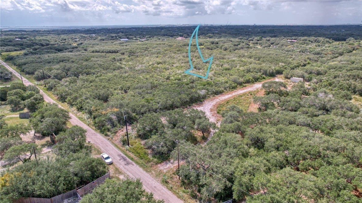 2.5 acres in San Patricio County gallery image 2