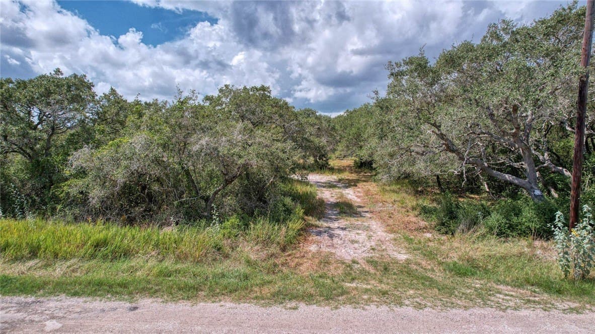 2.5 acres in San Patricio County - photo 12