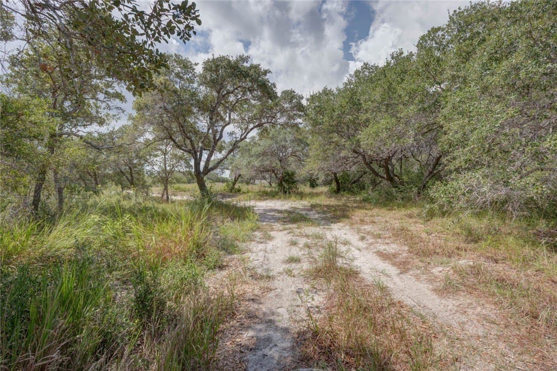 2.5 acres in San Patricio County - photo 17