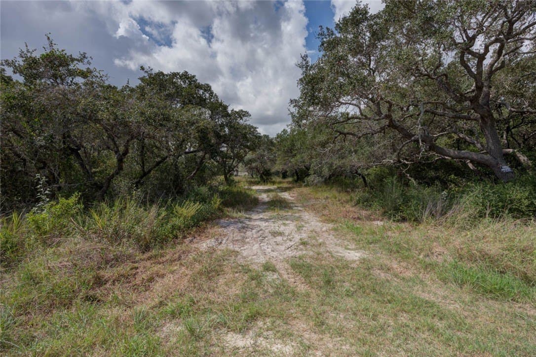 2.5 acres in San Patricio County gallery image 4