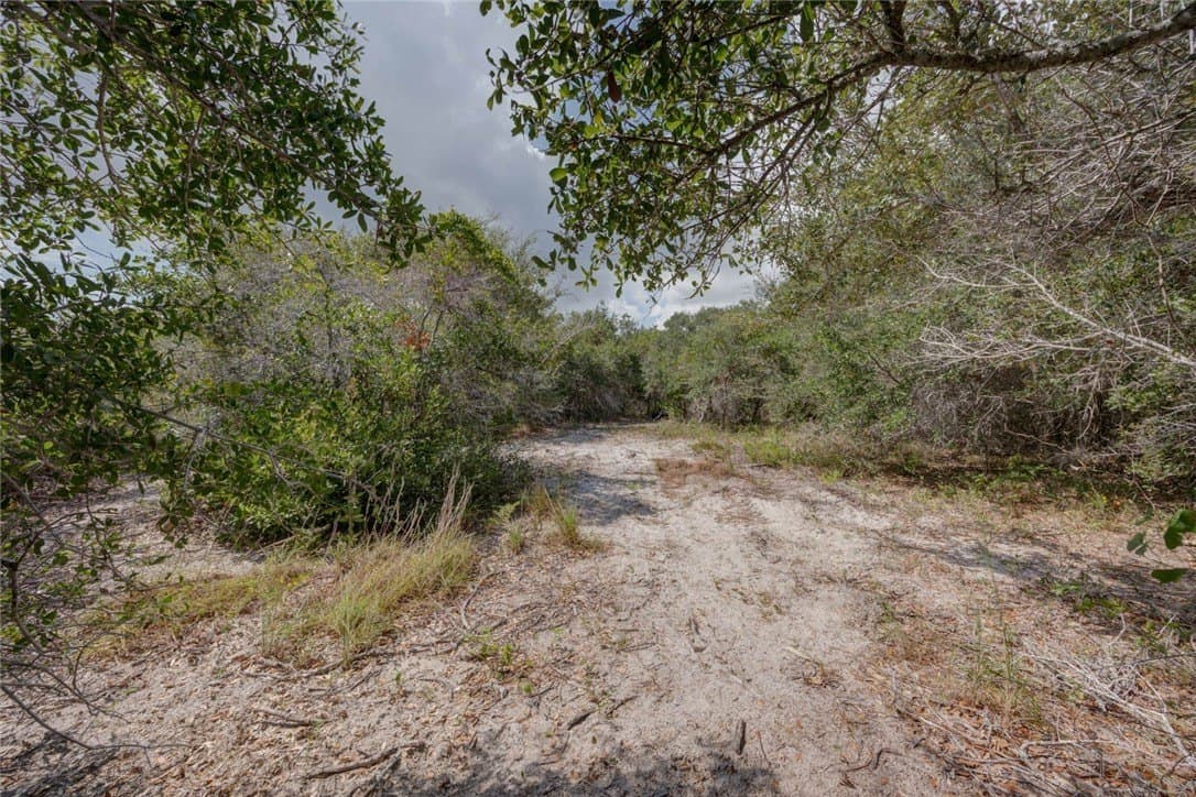2.5 acres in San Patricio County - photo 7